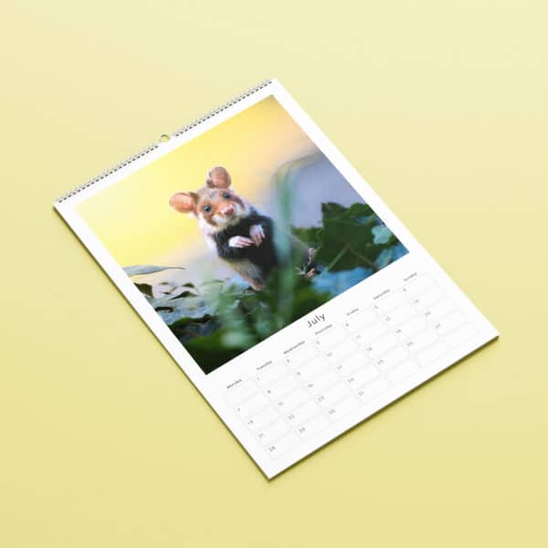 Hannah Stitfall Mouse Wildlife Bepsoke Calender | Johnsons Bespoke Calendars
